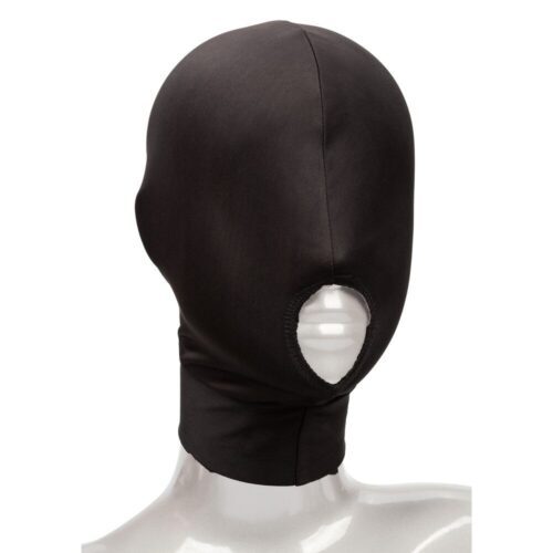 Boundless Open Mouth Hood California Exotic 4.jpg