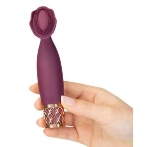 Pillow Talk Secrets Passion Mini Massager BMS Enterprises 1 1.jpg