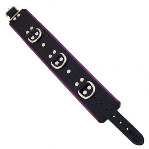 Rouge Garments Black And Purple Padded Collar by Rouge Garments for you to buy online.
