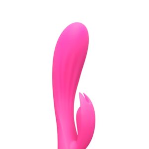 Silicone Rabbit Vibrator Various Toy Brands 1 1.jpg